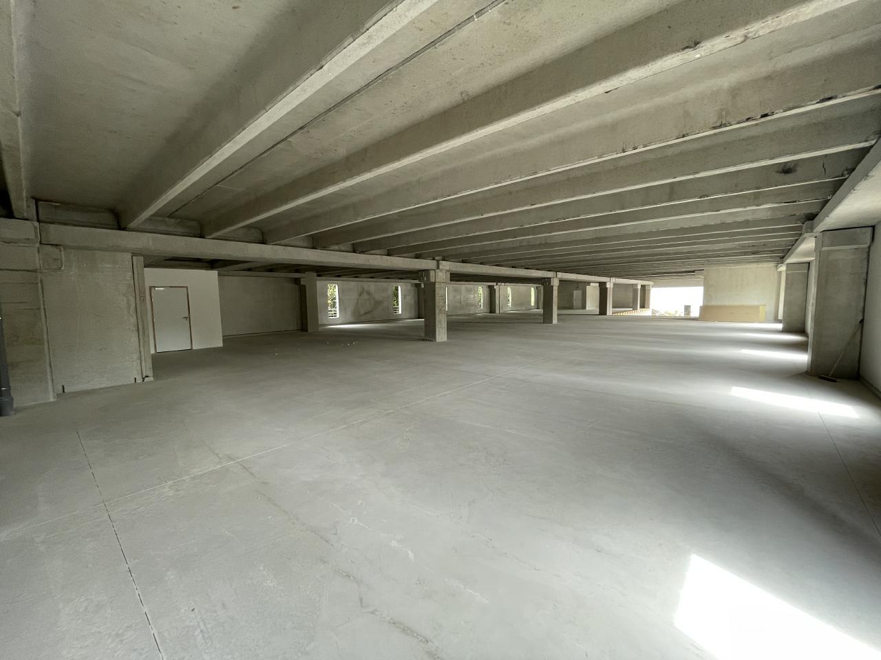 Local d'activité Mougins 2455m² Location local d'activité Mougins Alpes-Maritimes OLACT2315824 5